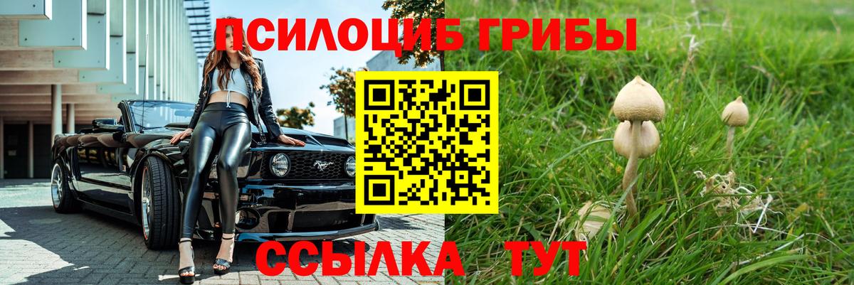 Псилоцибиновые грибы GOLDEN TEACHER Ржев